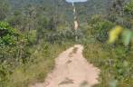 A estreita e longa estrada de areia corta o cerrado no sul do Maranhão, região de Alto Parnaíba - MA